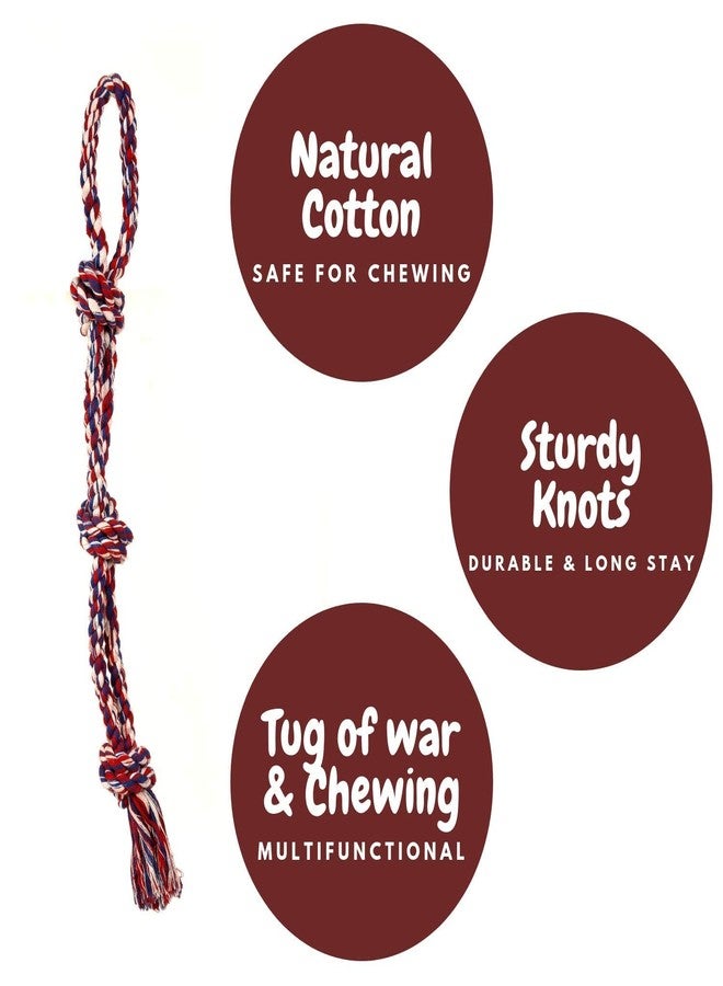 D&C PAWS 17-Inch Dog Rope Toy for Chewing and Teething, Knotted Rope Toy for Puppies and Dogs, Durable Play and Dental Toy (Multicolor) - Image 2